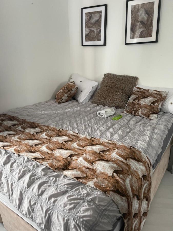 Spacious One Bedroom Ft In Central London King'S Cross Εξωτερικό φωτογραφία