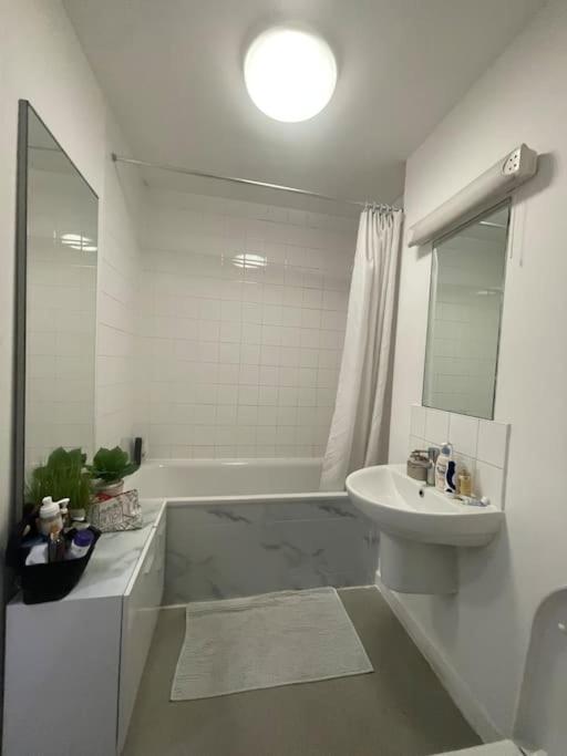 Spacious One Bedroom Ft In Central London King'S Cross Εξωτερικό φωτογραφία